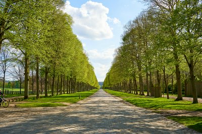 Photo from gallery Versailles [Apr 2022] taken on 2022-04-14 17:16:02 at Versailles by DrJLT