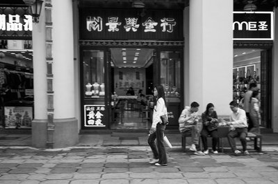 Zhongshan 202603 #8