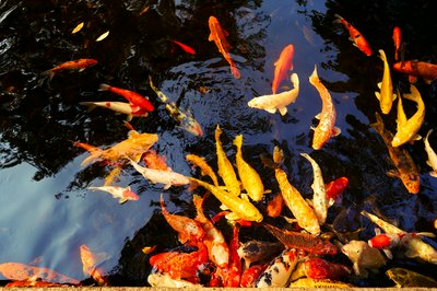 Zhongshan Parks 202601 #51