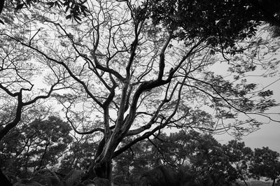 Zhongshan Parks 202603 #49