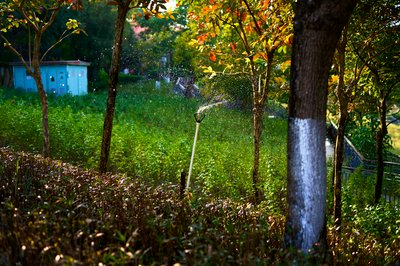 Parks in Zhongshan 202512 #18