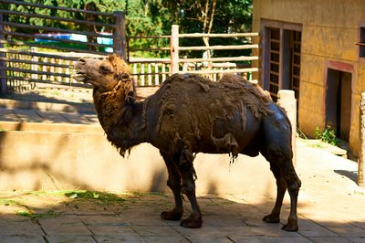 Kunming Zoo 2025 #1