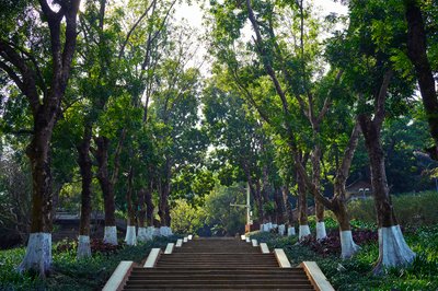 Zhongshan Parks 202601 #57