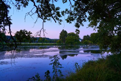 Photo from gallery HEC Park (Swans, Geese, Lake), Summer 201908 taken on 2019:08:23 21:00:42 at Jouy-en-Josas by DrJLT