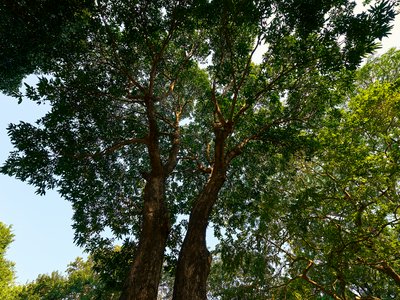 Parks in Zhongshan 202512 #11