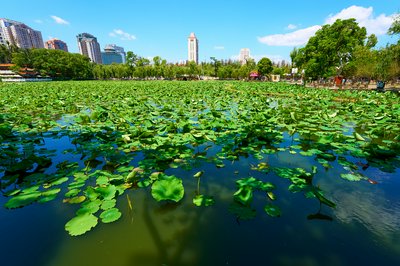 Kunming Misc 2025 #3