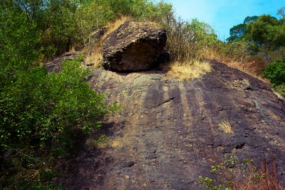 Parks in Zhongshan 202512 #26