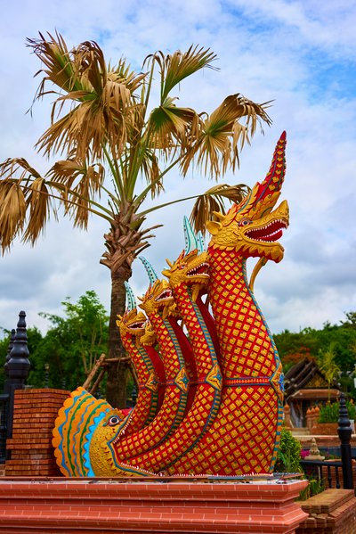Xishuangbanna Gaozhuang 2025 #23