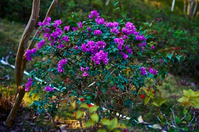 Zhongshan Parks 202601 #23