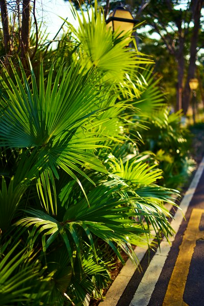 Zhongshan Parks 202601 #16