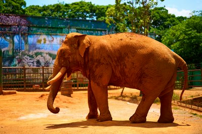 Kunming Zoo 2025 #43