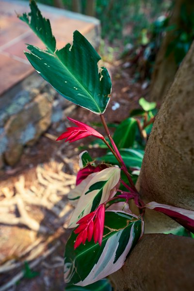 Zhongshan Parks 202603 #20
