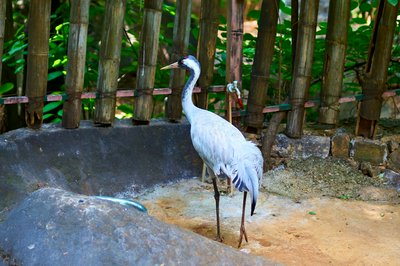 Kunming Zoo 2025 #21