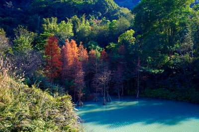 Zhongshan Parks 202601 #49