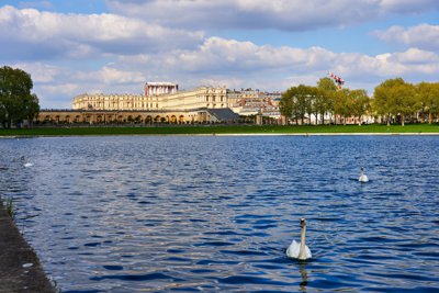 Photo from gallery Versailles (Park, Chateau, Fountain, Swan, Coot), Spring 201905 taken on 2019:04:29 16:49:35 at Versailles by DrJLT
