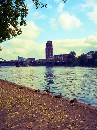 Frankfurt 2025 #104