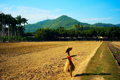 Zhongshan 202512 #65