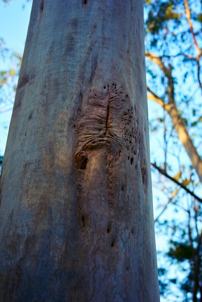 Zhongshan Parks 202602 #21