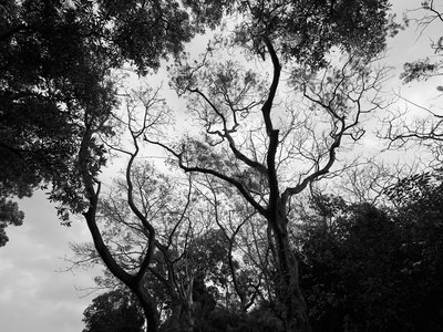 Zhongshan Parks 202603 #38