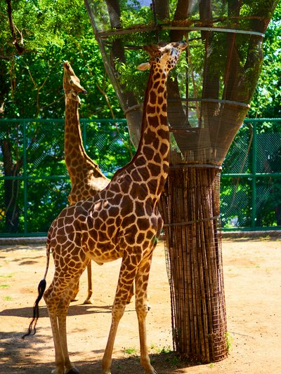 Kunming Zoo 2025 #3