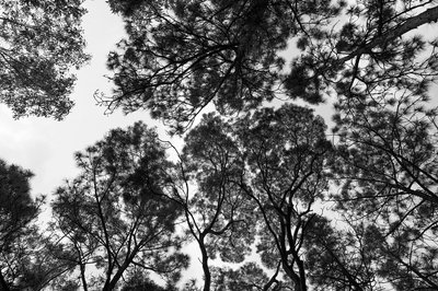 Zhongshan Parks 202603 #35