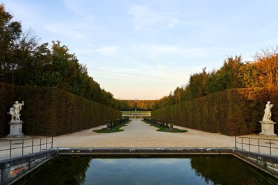 Versailles (Birds, Fallen Leaves, Park) 201810 #23