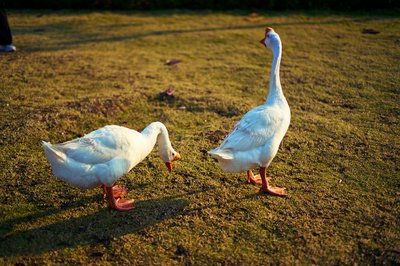 Zhongshan Parks 202601 #18