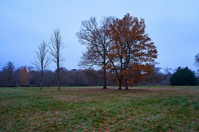 Photo from gallery Rambouillet [Nov 2021] taken on 2021-11-25 17:00:48 at Rambouillet by DrJLT