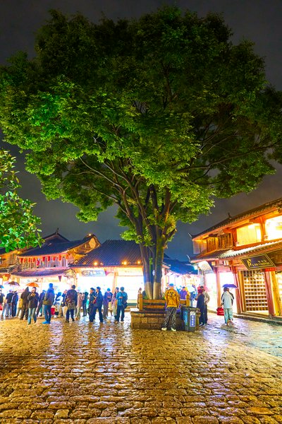 Lijiang Old Town 2025 #117
