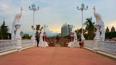 Xishuangbanna Gaozhuang 2025 #10