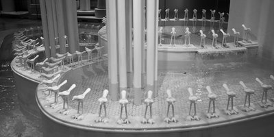 Zhongshan 202602 #52