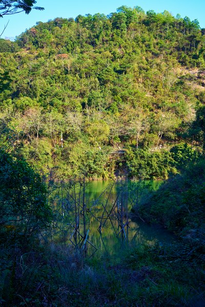 Zhongshan Parks 202602 #20