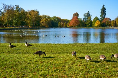 Photo from gallery Rambouillet [Oct 2021] taken on 2021-10-28 15:02:29 at Rambouillet by DrJLT