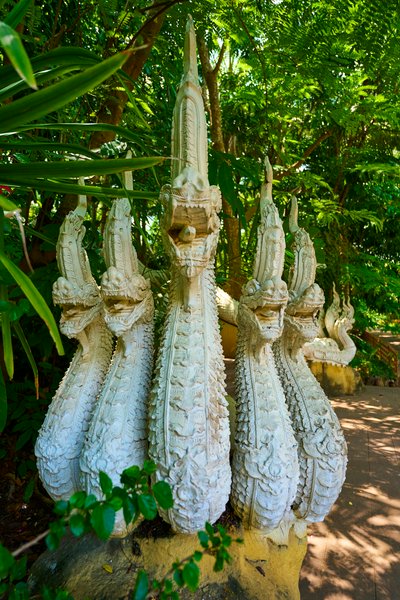Xishuangbanna Manting Park 2025 #48