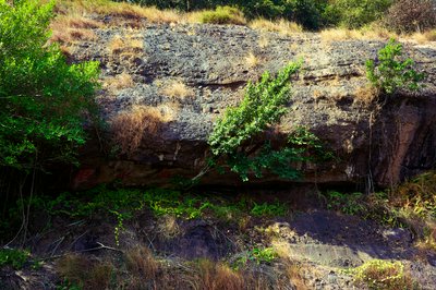 Parks in Zhongshan 202512 #29