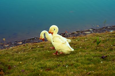 Parks in Zhongshan 202512 #48