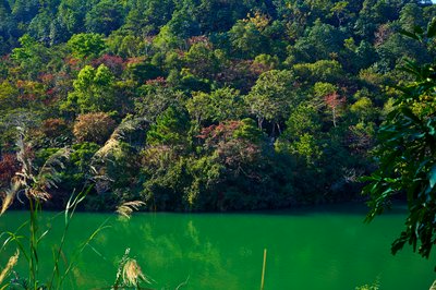 Zhongshan Parks 202601 #48