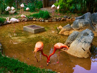 Kunming Zoo 2025 #55