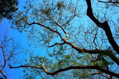 Zhongshan Parks 202603 #12
