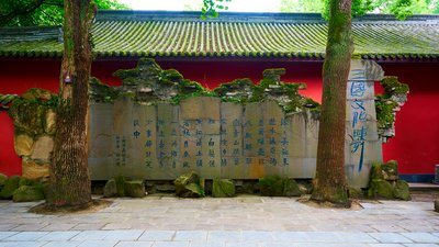 Chengdu Wuhouci 2025 #22