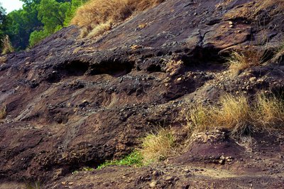 Parks in Zhongshan 202512 #28