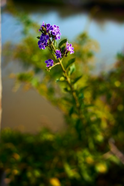 Zhongshan Parks 202602 #11