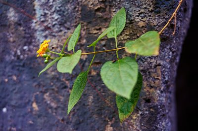 Zhongshan Parks 202601 #67