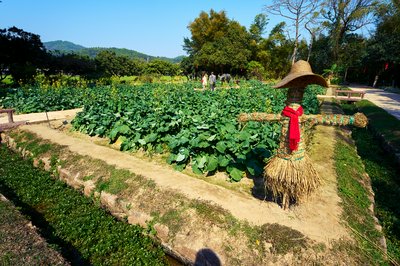 Zhongshan 202602 #32