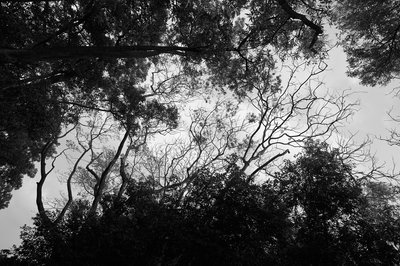 Zhongshan Parks 202603 #37