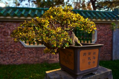 Zhongshan Parks 202601 #53