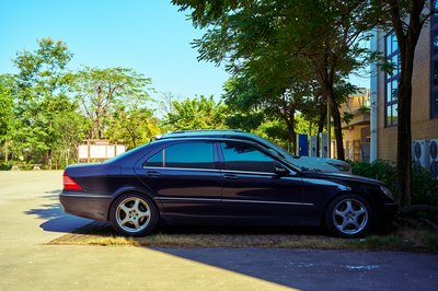 Parks in Zhongshan 202512 #33