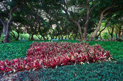Parks in Zhongshan 202512 #39